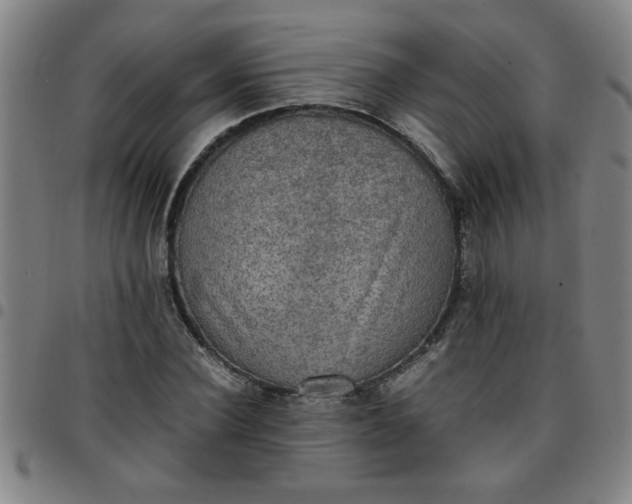 X0000097460924200803071628