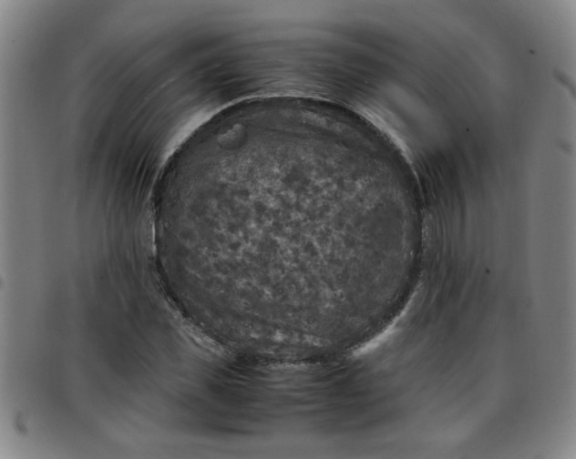 X0000097460925200803071628