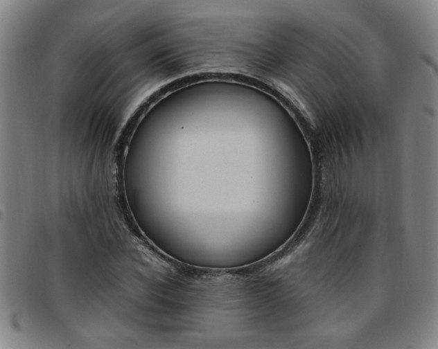 X0000097460926200803071628