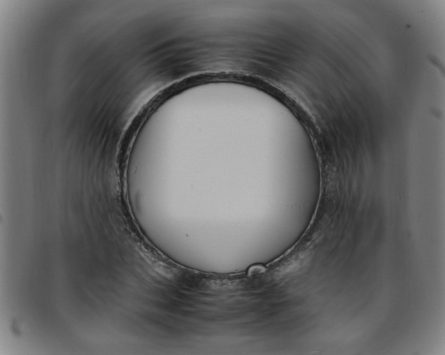 X0000097460927200803071628