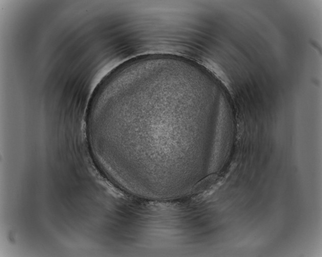 X0000097460928200803071628