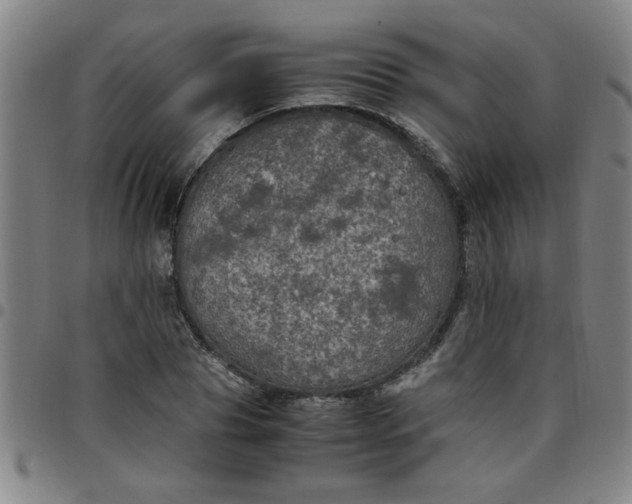 X0000097460929200803071628