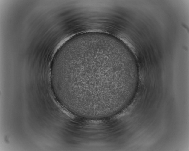 X0000097460933200803071628