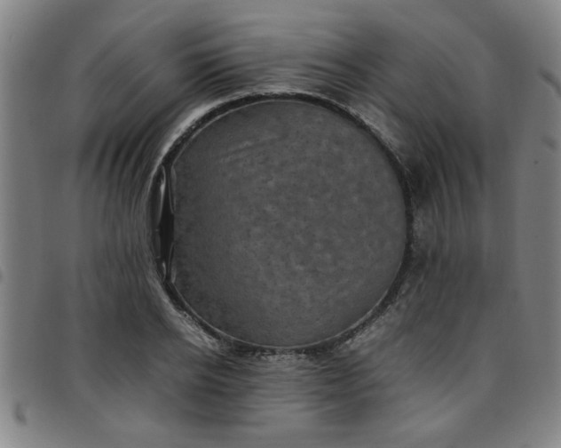 X0000097460934200803071628