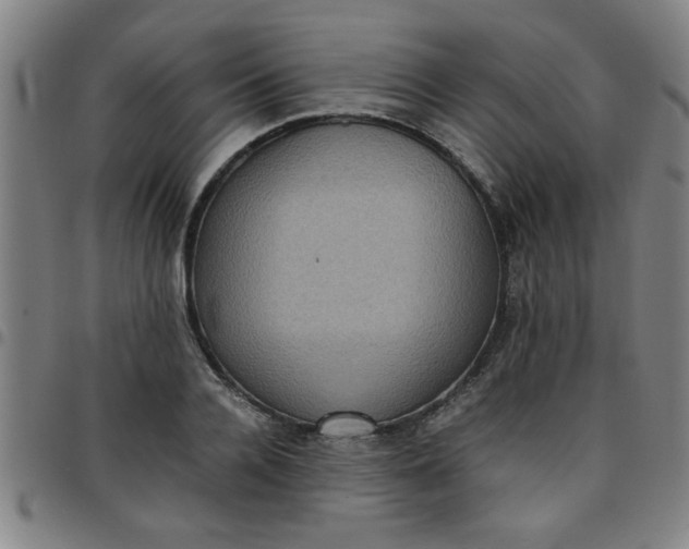 X0000097460936200803071628