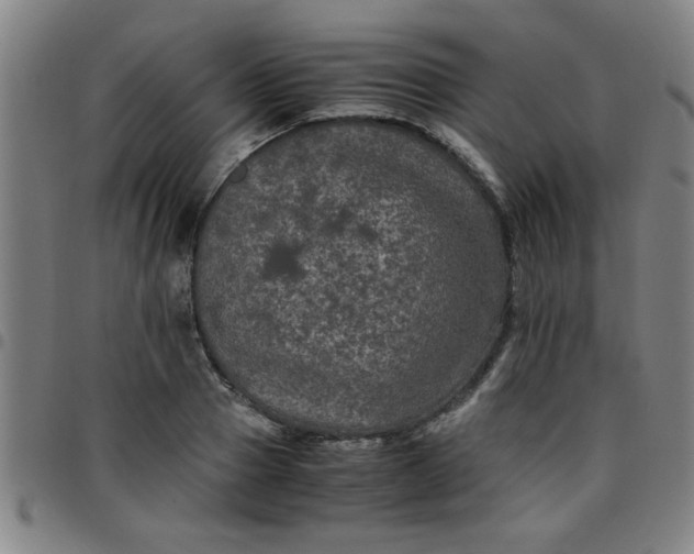 X0000097460937200803071628