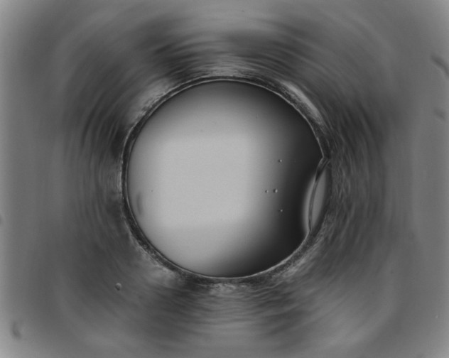 X0000097460938200803071628