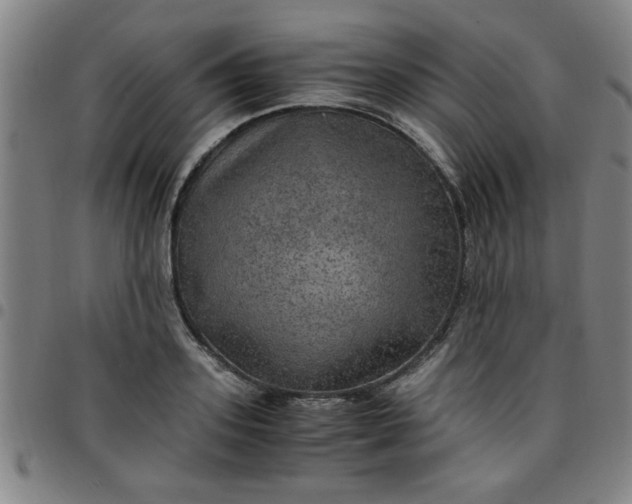 X0000097460939200803071628