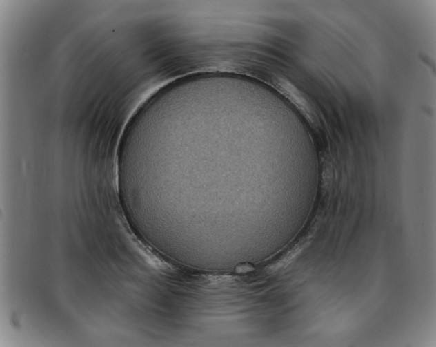 X0000097460940200803071628