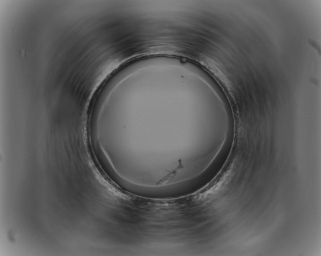 X0000097460941200803071628