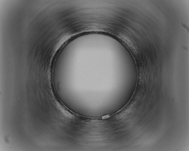 X0000097460942200803071628