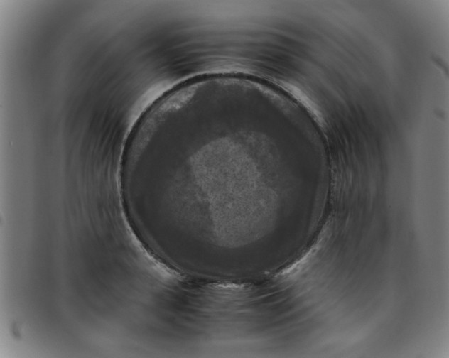 X0000097460943200803071628