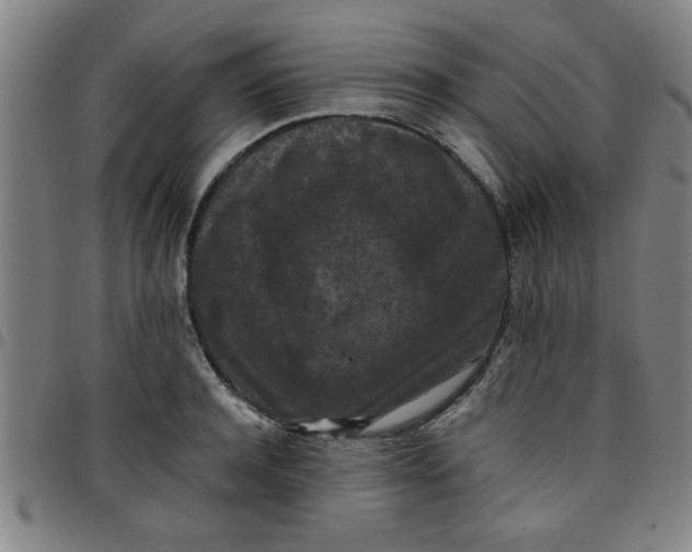 X0000097460944200803071628