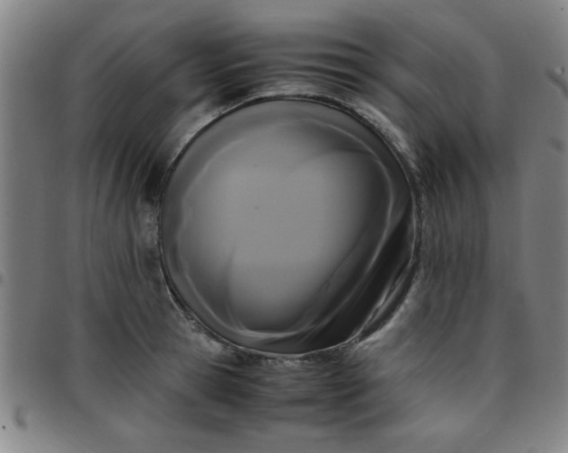 X0000097460945200803071628