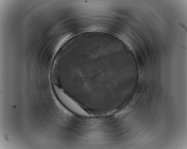 X0000097460946200803071628