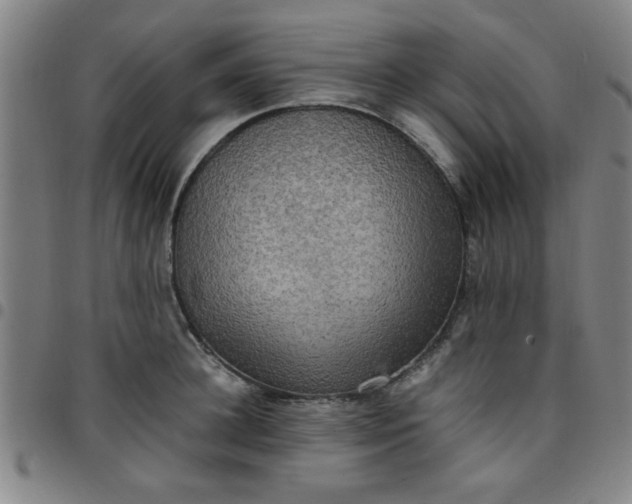 X0000097460948200803071628