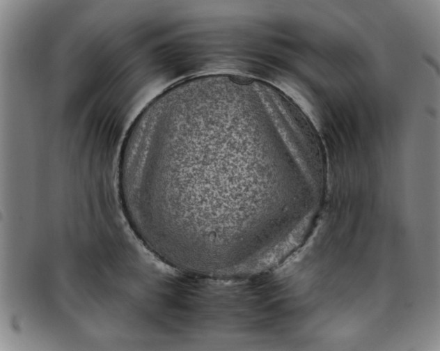 X0000097460949200803071628