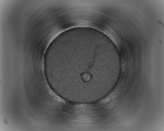 X0000097460950200803071628