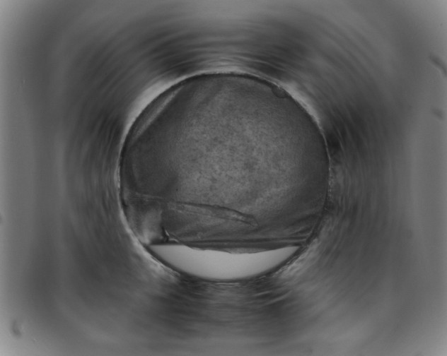 X0000097460951200803071628