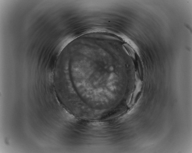 X0000097460953200803071628