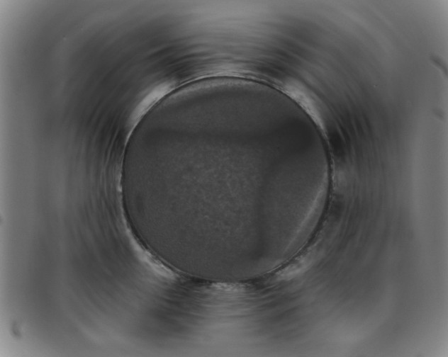 X0000097460954200803071628