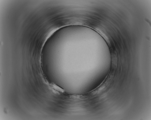 X0000097460956200803071628