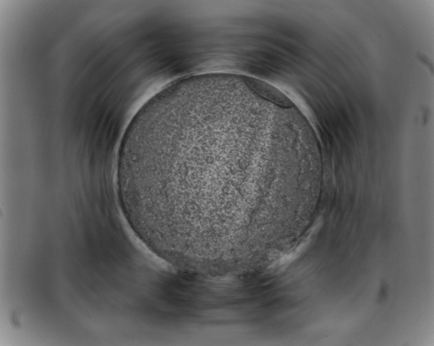 X0000097460957200803071628