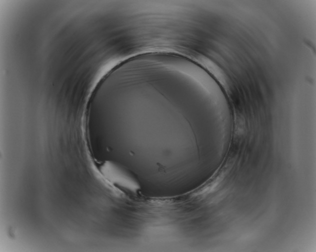 X0000097460958200803071628