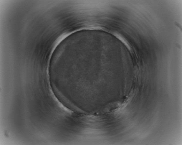 X0000097460959200803071628