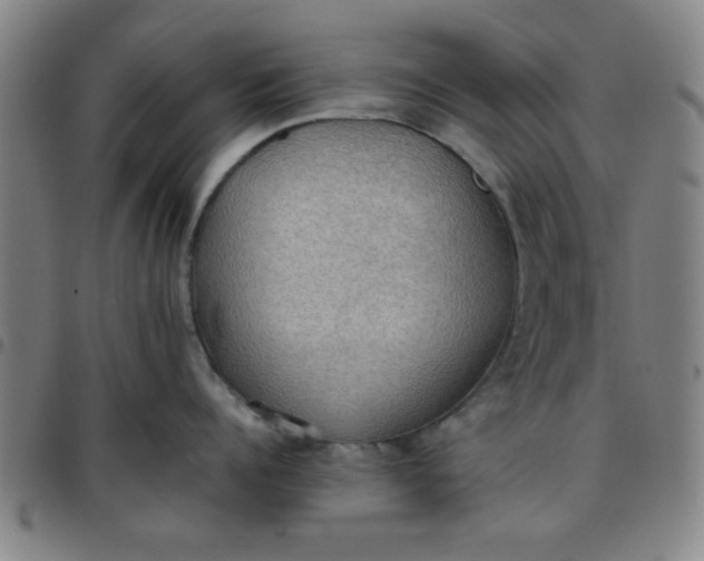 X0000097460960200803071628