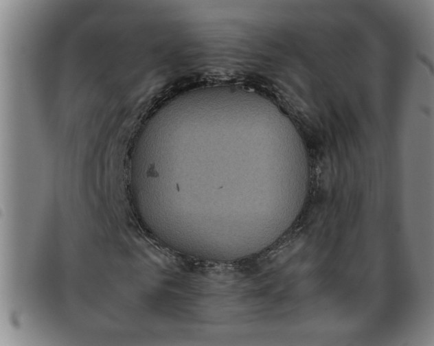 X0000097460961200803071628