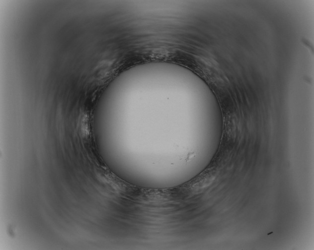 X0000097460962200803071628