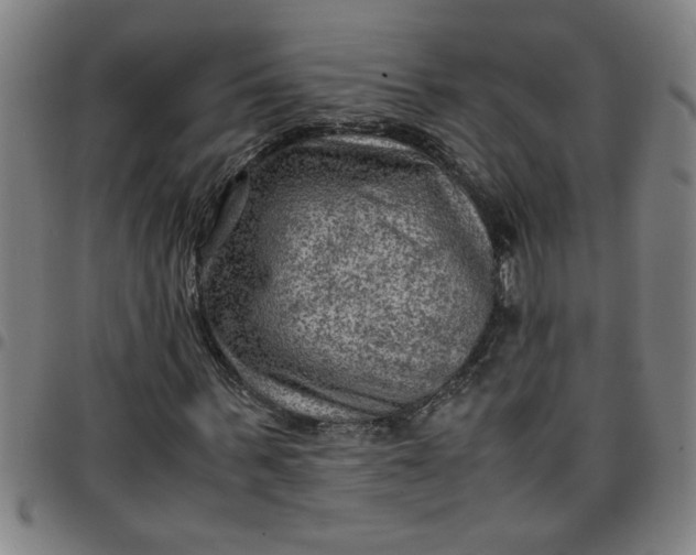 X0000097460963200803071628