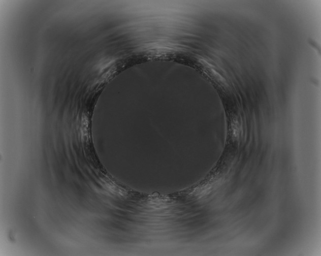 X0000097460964200803071628