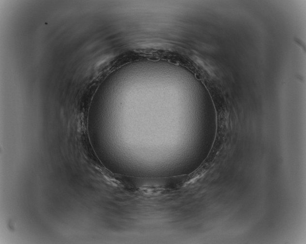 X0000097460965200803071628