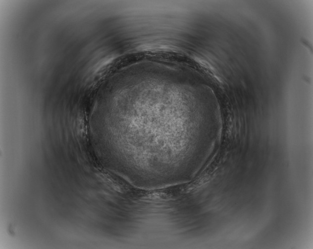 X0000097460966200803071627