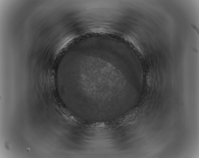 X0000097460968200803071627