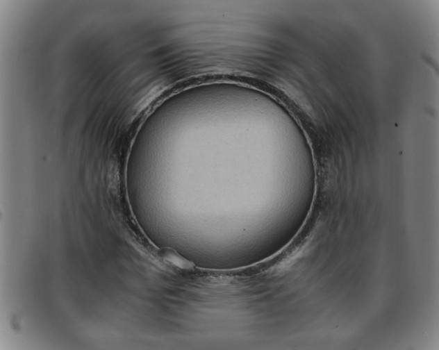 X0000097460969200803071627