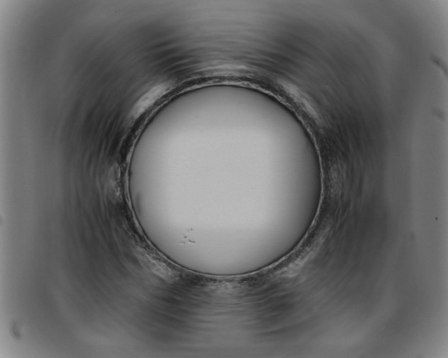 X0000097460970200803071627