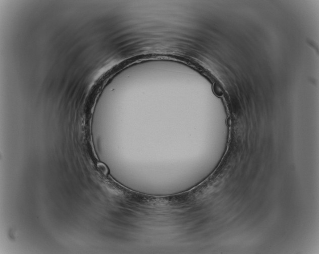 X0000097460971200803071627