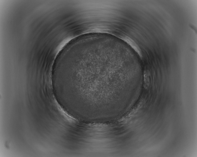 X0000097460972200803071627