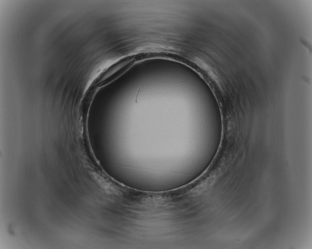 X0000097460973200803071627