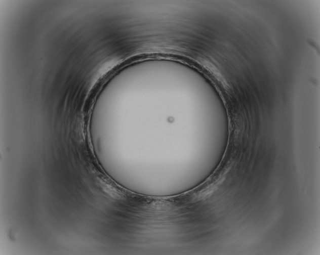 X0000097460974200803071627