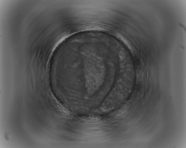 X0000097460975200803071627