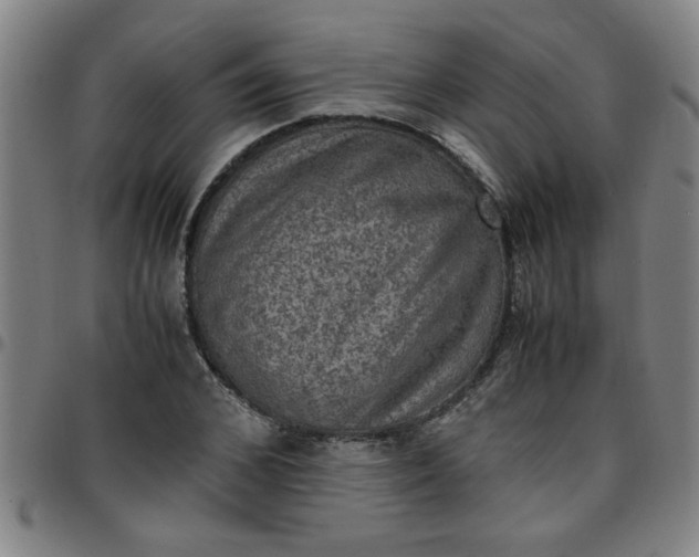 X0000097460976200803071627