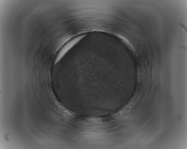 X0000097460977200803071627