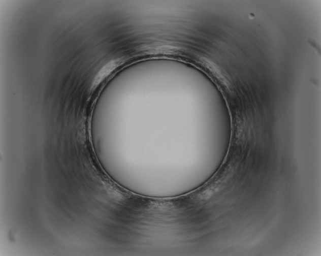 X0000097460978200803071627