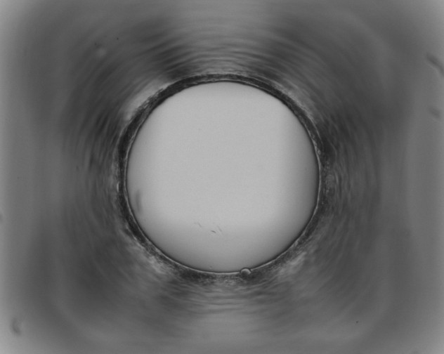 X0000097460979200803071627