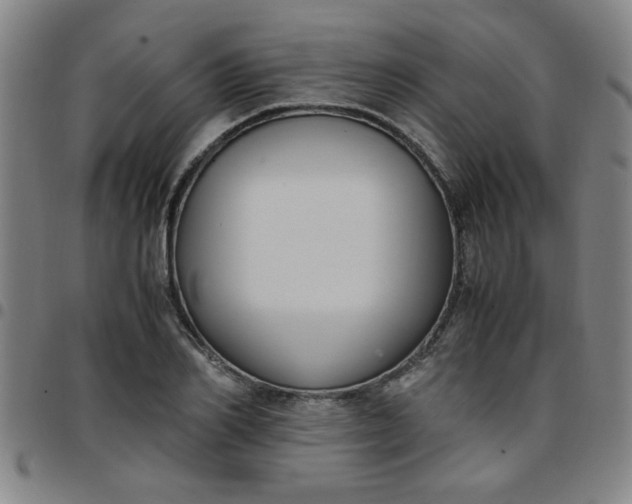 X0000097460982200803071627