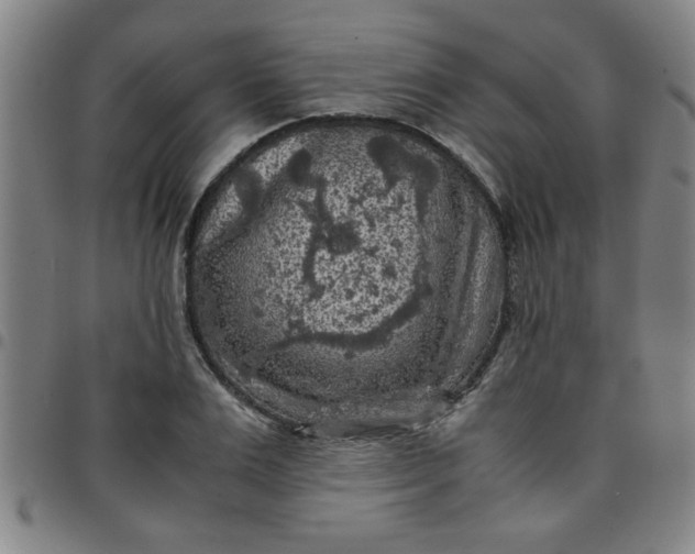 X0000097460983200803071627